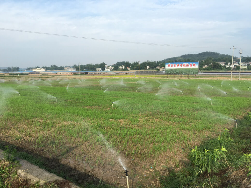 港峰蔬菜基地土壤修復(fù)項(xiàng)目