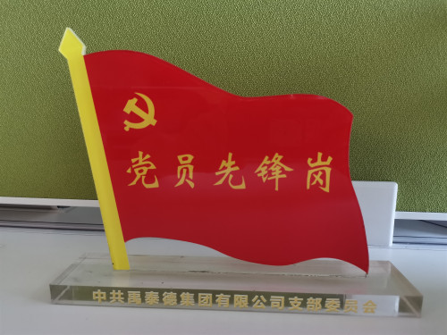   集團(tuán)黨支部開展黨員先鋒崗活動